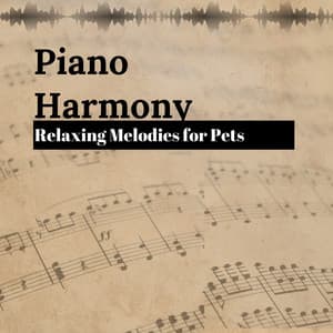 Piano Harmony: Relaxing Melodies for Pets - Pet Music