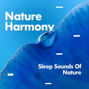 Nature Harmony - Sleep Sounds of Nature
