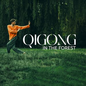 Qigong in the Forest: Chinese Meditation and Breathing Exercises - Tai Chi And Qigong