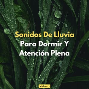 Sonidos De Lluvia Para Dormir Y Atención Plena, Vol. 1 - Lluvia tranquila para dormir