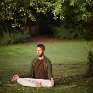 Chill Sound Focused Retreat: Nature Crickets' Nighttime Concentration - Virtual Crickets