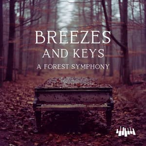 Breezes and Keys: A Forest Symphony - Piano Music Spa