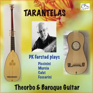 PK Farstad plays Theorbo & Baroque Guitar - PK Farstad