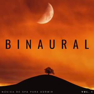 Binaural: Música De Spa Para Dormir Vol. 1 - Chico binaural