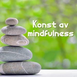 Konst av mindfulness: Avkopplings låtar för djup meditation och yoga poserar, lugnande ljud för kroppsavkoppling - Mindfulness meditation världen