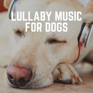 Lullaby Music for Dogs - Sleeping Music For Dogs