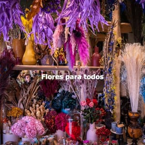 Flores para todos - Calm Elevator Music