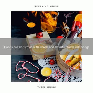 Happy are Christmas with Carols and Calmful Wild Birds Songs - Calming Sounds