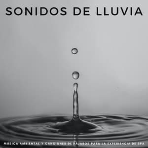 Sonidos De Lluvia: Música Ambiental Y Canciones De Pájaros Para La Experiencia De Spa - Dulce lluvia