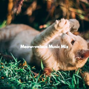 Meow-velous Music Mix - Cooking Background Music