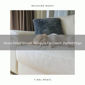 Stress Relief Stream Whispers For Couch, Perfect Dogs - Pets Total Relax