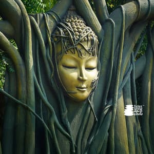 Connessione con la natura - Relax musica zen club