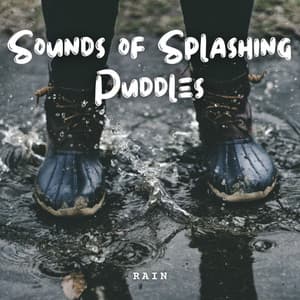 Rain: Sounds of Splashing Puddles - Rain Hive