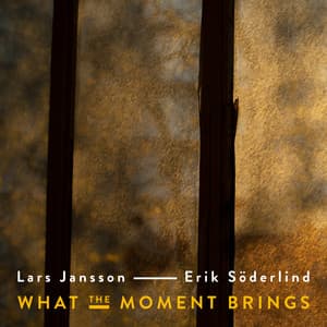 What The Moment Brings - Lars Jansson