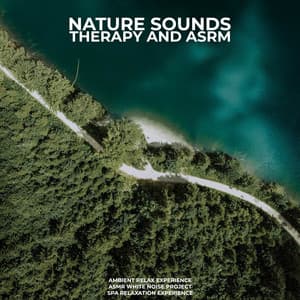 Nature Sounds Therapy and ASMR - Ambient Relax Experience