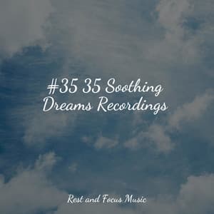 #35 35 Soothing Dreams Recordings - Happy Baby Lullaby Collection