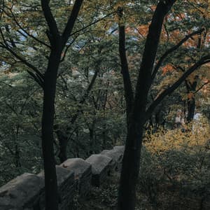 Serene Sounds | Spa & Serenity - The Sleep Helpers