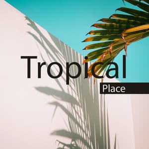Tropical Place: Summer Vacation, Chill Night, Cocktails Lounge, Bar Relaxation - Sunset Chill Out Music Zone