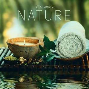 Spa Music: Nature. 50 Minutes of Relaxing Music with Nature and Water Sounds - Relaxing Spa Oasis
