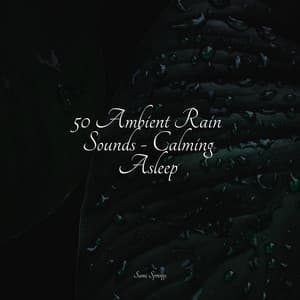 50 Ambient Rain Sounds - Calming Asleep - Tinnitus