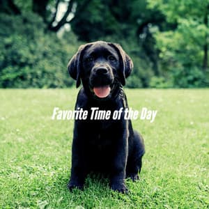 Favorite Time of the Day - Relaxing Dog Music Radio