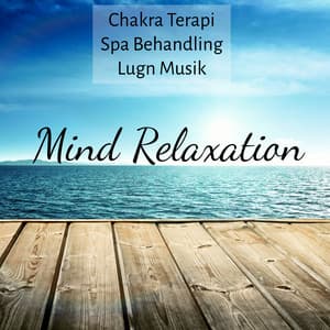 Mind Relaxation - Chakra Terapi Spa Behandling Lugn Musik med Instrumental Naturens Sömncykler Ljud - Restaurant Music Academy
