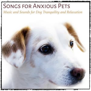 Songs for Anxious Pets: Music and Sounds for Dog Tranquility and Relaxation - Relaxmydog