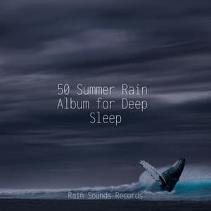 50 Summer Rain Album for Deep Sleep - Rain For Deep Sleep