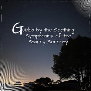 Guided by the Soothing Symphonies of the Starry Serenity - Sleep Music Playlist