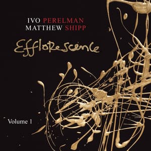 Efflorescence, Vol. 1 - Ivo Perelman