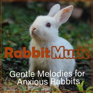 Rabbit Music - Gentle Melodies for Anxious Rabbits - Music For Pets