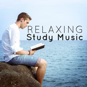 Relaxing Study Music - Study Music Orchestra