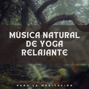 Música Natural de Yoga Relajante para la Meditación - Radio Naturaleza 1