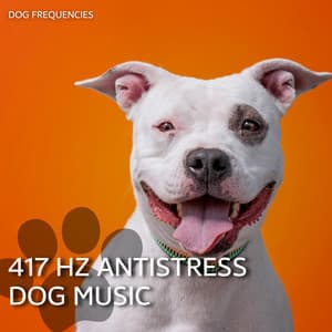 417 Hz Antistress Dog Music - Dog Frequencies