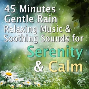 45 Minutes of Gentle Rain, Relaxing Music and Soothing Sounds for Serenity & Calm - Max Relaxation