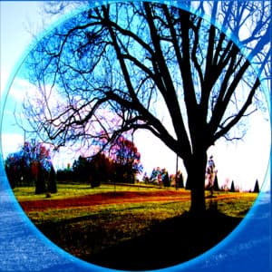 Soothing White Noise, Brown Noise, Appliances, and other Audio - Lucid Dreaming World-Collective Unconscious Mind