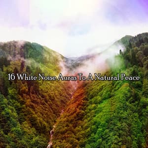 16 White Noise Auras To A Natural Peace - White Noise For Baby Sleep