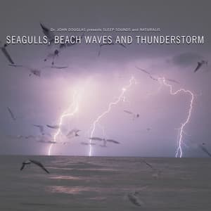 Seagulls, Beach Waves and Thunderstorm - Dr. John Douglas