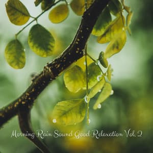 Morning Rain Sound Good Relaxation Vol. 2 - Relax Radio 1