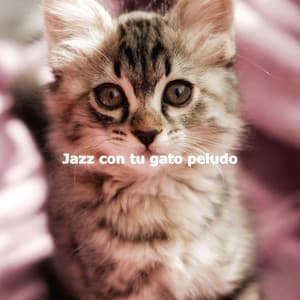 Jazz con tu gato peludo - Calming Instrumental Jazz Ambiance