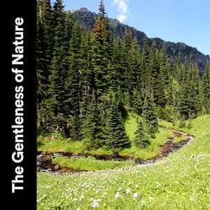 The Gentleness of Nature - Tranquility Spa Universe