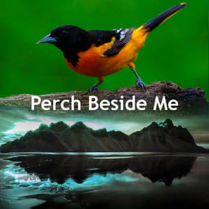 Perch Beside Me - Sounds of Nature Noise