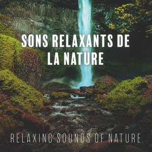 Sons Relaxants de la Nature - Bruits naturels