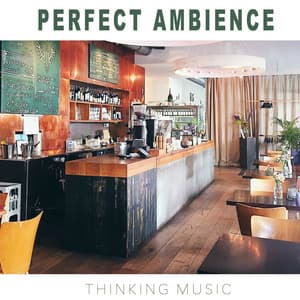 Perfect Ambience - Thinking Music
