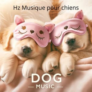 Hz Musique pour chiens: Dog Music, Aidez votre chiot à s'endormir, Thérapie spéciale de calme pour le sommeil - Hz Frequency