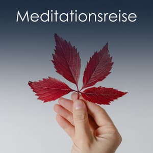 Meditationsreise - Guten Schlafen Akademie