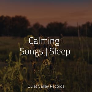 Calming Songs | Sleep - Rain Hard