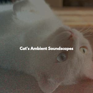 Cat's Ambient Soundscapes - Jazz Lento