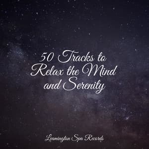 50 Tracks to Relax the Mind and Serenity - Nature Chillout