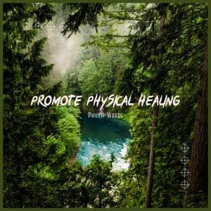 Promote Physical Healing - Majestic Nova